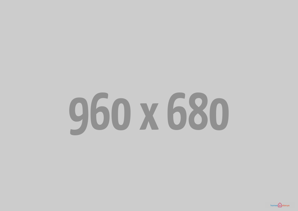 Get Notified When We Launch